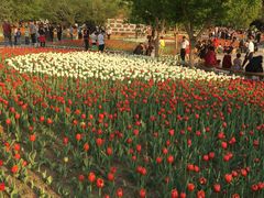 -长春公园(普阳街道)