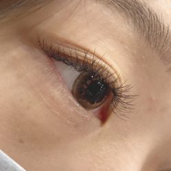 -BELLAREAL新美社