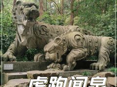 -虎跑公园