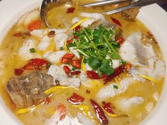-花溪雨·森林餐厅(石基店)