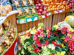 -PAGODA百果园(深圳天琴阁店)