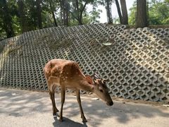 -秦皇岛野生动物园