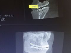 -泰康拜博口腔(世博园乐尔店)