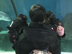 -苏州海洋馆
