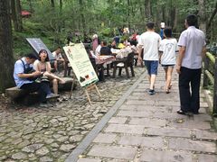 -牛背梁国家森林公园