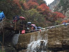-黄花溪