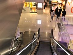 -证大喜玛拉雅中心