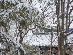 -湛山寺