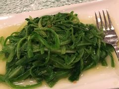 青龙菜清炒-新加坡海鲜共和(名胜世界圣淘沙海滨坊)