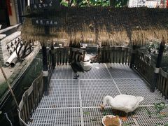 -优之名鹅城