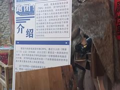 -山河幻境·桌游 跑团 卡牌