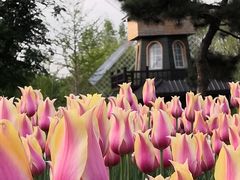 -长春公园(普阳街道)