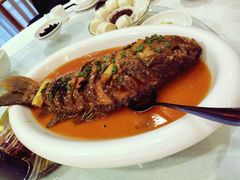 糟黄河鲤鱼-豫满楼(郑东新区店)