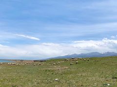 -青海湖国家重点风景名胜区