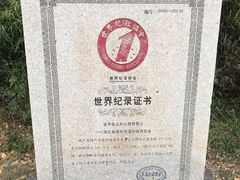 -千年银杏谷文化旅游区