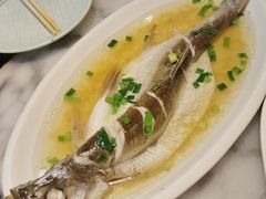 -京城小江南·北京烤鸭·江南土菜·白鱼(中关村店)