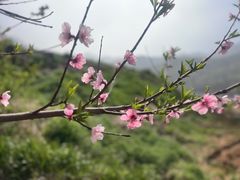 -里口山风景名胜区