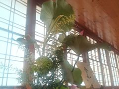 -希望日本料理(保利香槟花园店)