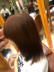 -Every Day Hair Studio