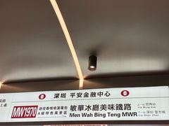 -敏华冰厅(平安金融中心店)