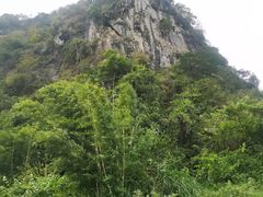 -银峰农庄·特色烧鸡·鲜无花果浸鸡