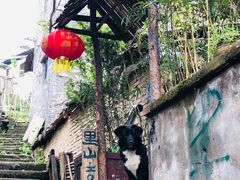 -悟饮门市景店