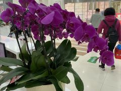 -上海仁爱医院