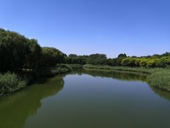 -大兴滨河森林公园