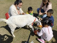 -前小桔亲子创意农场·草莓采摘·露营烧烤