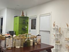 -麻麻手推拿
