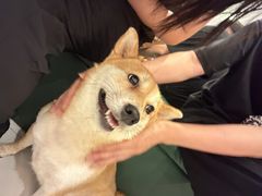 -Legno.ita Coffee by Wood(襄阳南路店)