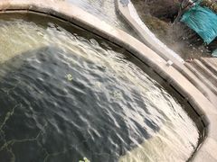 -大连金石滩绿发温泉假日酒店