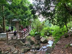 -火炉山森林公园