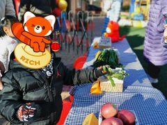 -吉而慧幼儿园-原红黄蓝幼儿园(世华水岸园)