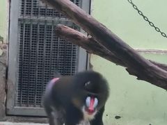 -太原动物园
