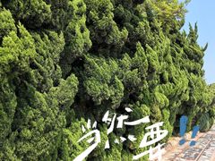 -青岛海滨风景区小青岛