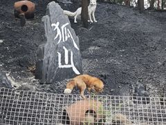 -淄博聊斋城景区