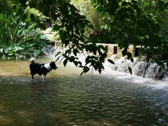 -桤木河湿地公园