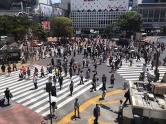 -涩谷全向十字路口