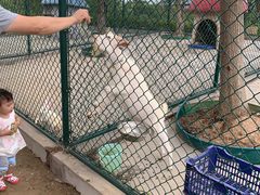 -上海滴水湖皇冠假日酒店