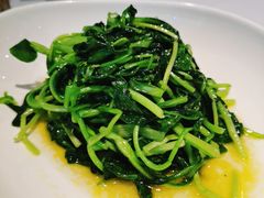 上汤鸡毛菜-松鹤楼·非遗·苏帮菜(融科店)