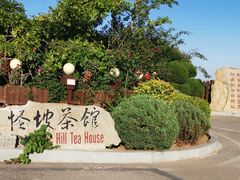 -怪坡茶馆