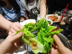 -欢乐牧场(T12店)