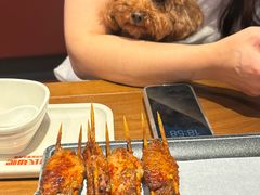 -全心全意连锁动物医院·微创中心·内科急重症·心脏专科(丰管路店)