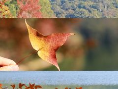 -广州市白云山风景名胜区