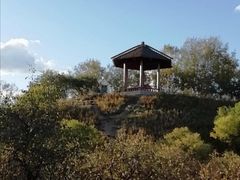 -塞罕坝国家级自然保护区