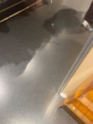 -G-STEPS舞蹈工作室