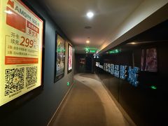 -AMG海上明珠影城(上海环球港RealDCinema店)
