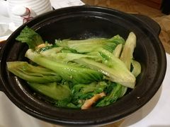 粤式虾膏啫生菜-尚一汤 广东炖汤(金桥国际店)