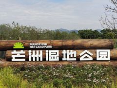 -芒洲湿地公园